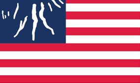 The Official Flag of the Finger Lakes
